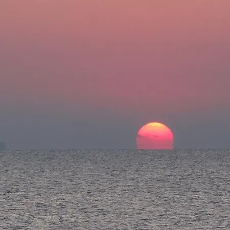 Bados Mare * 올비아